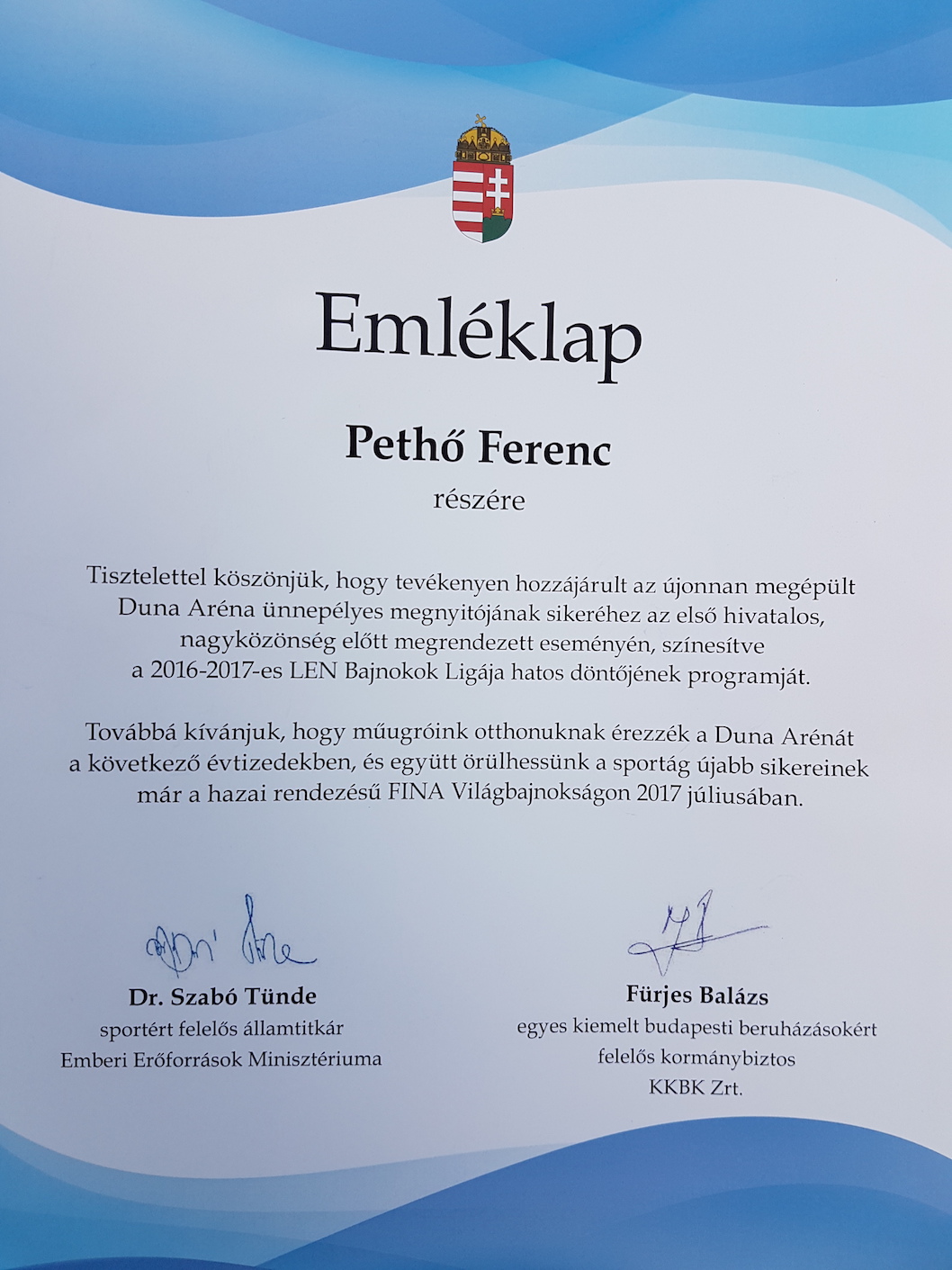 Pethő Ferenc fiatal műugró Pethő Ferenc fiatal műugró
