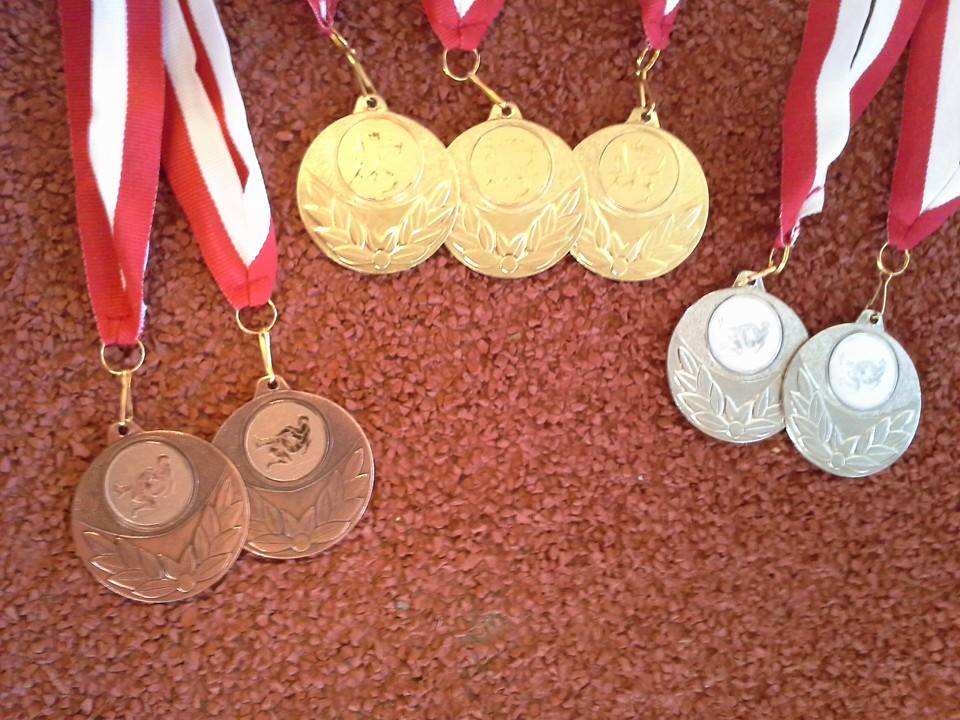 HOSOSZ 2014 HOSOSZ 2014