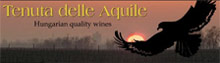 Tenuta delle Aquile Kft.